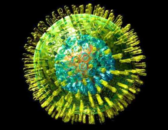 来氟米特可用于复杂的巨细胞病毒感染的治疗