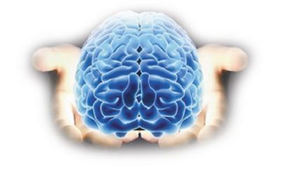 人类特有基因决定脑容大小